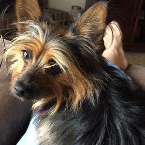 Meet your Posher, Marylou